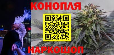 гашик Донской