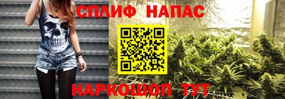 гашик Донской