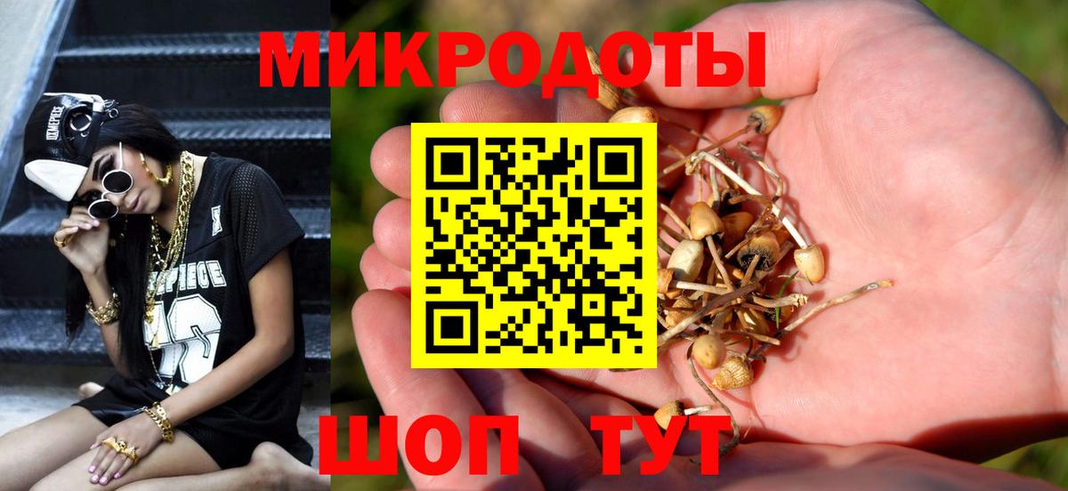 Псилоцибиновые грибы прущие грибы  купить  сайты  Лабинск  Вход с VPN 